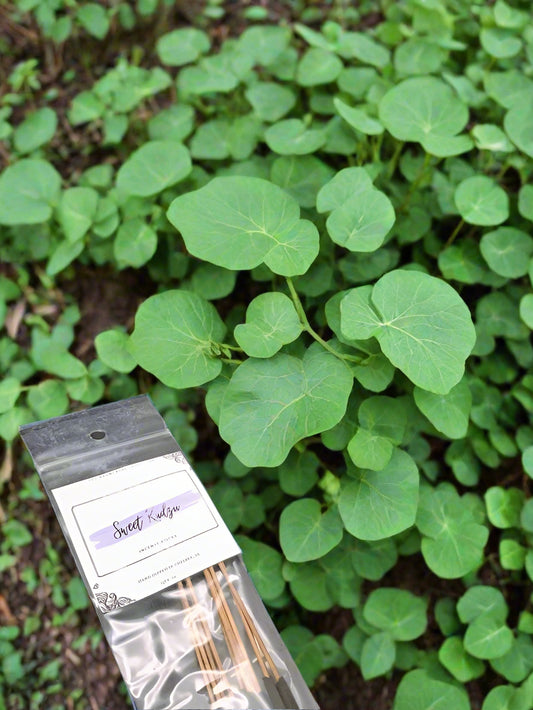 Sweet Kudzu Incense Sticks