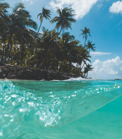 Island Vibes Incense Sticks